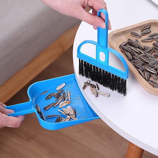 Balayette pelle ramasse miettes