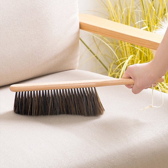 Balayette ideal pour poussiere fines