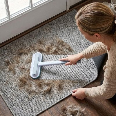 Brosse anti poil Net-poil nettoyant moquette